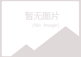 青海夏日化学有限公司